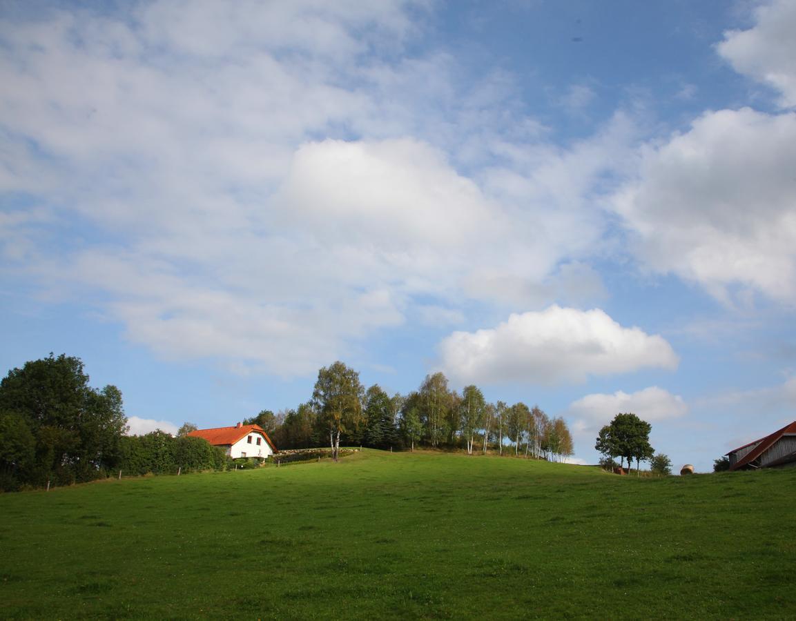 Bed and Breakfast Ferienhof Stanzl Rappottenstein Exterior foto